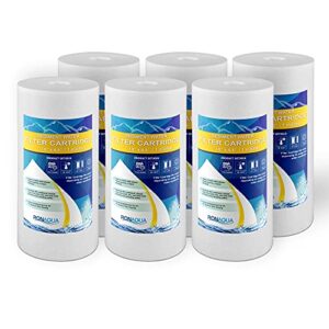 6pp-10b-1m big whole house water filter sediment, 4.5x10-inches, 1micron well-matched with rfc-bbsa, w15-pr, wfhd13001b, gxwh35f, gxwh30c, hf45-10blbk10pr and ap817 6-pack