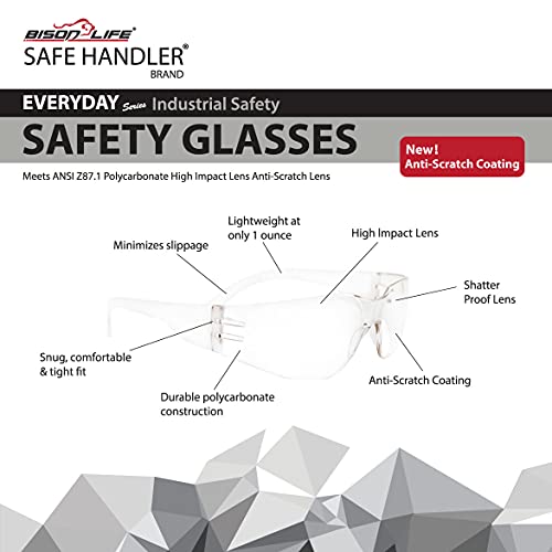 BISON LIFE Safety Glasses, One Size, Clear Protective Polycarbonate Lens, 12 per Box (1 box)