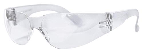 BISON LIFE Safety Glasses, One Size, Clear Protective Polycarbonate Lens, 12 per Box (1 box)