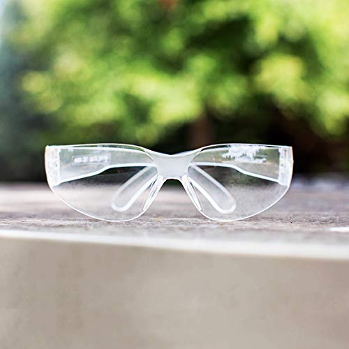 BISON LIFE Safety Glasses, One Size, Clear Protective Polycarbonate Lens, 12 per Box (1 box)