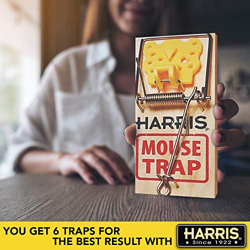 Harris Wooden Mouse Snap Traps (6-Pack)