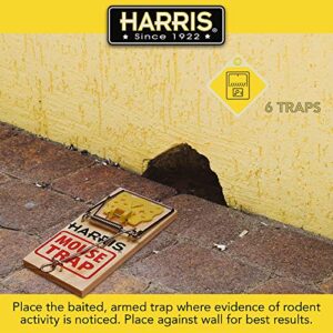 Harris Wooden Mouse Snap Traps (6-Pack)