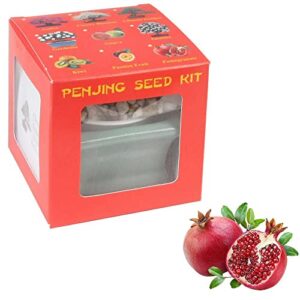 eve's garden pomegranate penjing seed kit, the chinese art of bonsai, complete kit to grow fruit-bearing pomegranate penjing from seed
