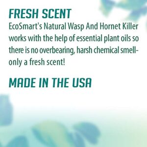 ecoSMART 33510 Wasp & Hornet Killer, 9-oz. - Quantity 1