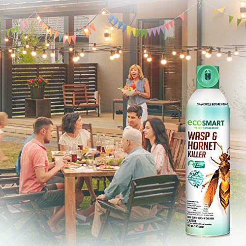 ecoSMART 33510 Wasp & Hornet Killer, 9-oz. - Quantity 1