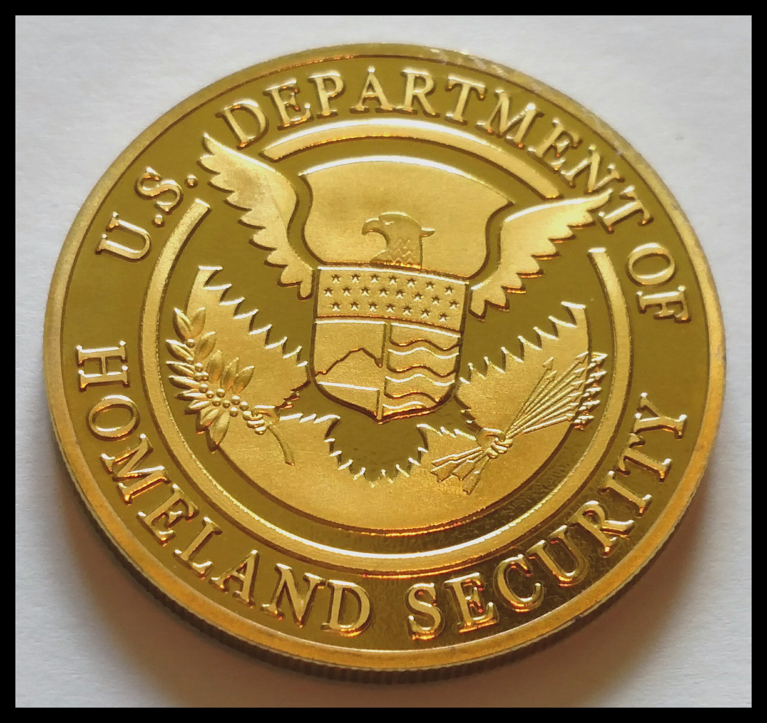 HSI Homeland Security Investigations Colorized Challenge Art Coin