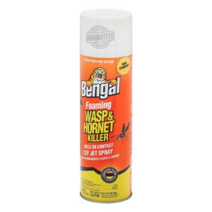 Bengal Foaming Wasp and Hornet Killer – Long Range Wasp & Hornet Spray with Foam Trapping Action – Non-Staining Outdoor Long Distance Foaming Wasp Spray – Kills on Contact, 18oz, 1-Pack