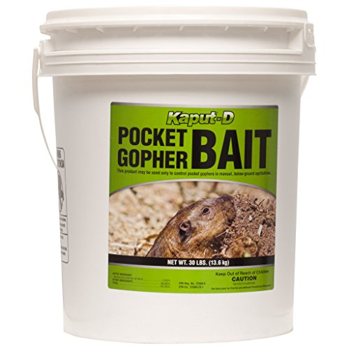 Kaput - D Pocket Gopher Bait - 30 lbs