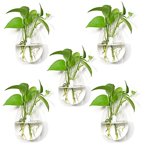 Fashiostorm 5 Packs Wall Hanging Planters Glass Plant Pots Water Containers Flower Air Terrariums Terrarium, Clear