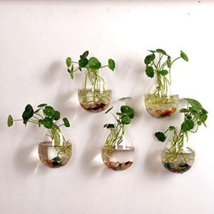 Fashiostorm 5 Packs Wall Hanging Planters Glass Plant Pots Water Containers Flower Air Terrariums Terrarium, Clear