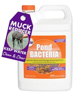 pondworx pond bacteria - formulated for large ponds, water features and safe for koi - gallon