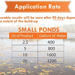 PondWorx Pond Bacteria - Formulated for Large Ponds, Water Features and Safe for Koi - Gallon