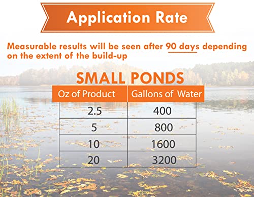 PondWorx Pond Bacteria - Formulated for Large Ponds, Water Features and Safe for Koi - Gallon