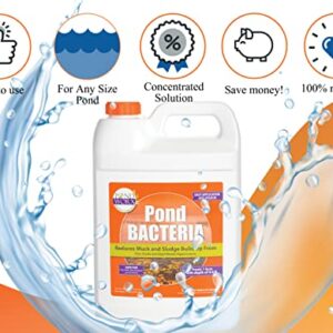 PondWorx Pond Bacteria - Formulated for Large Ponds, Water Features and Safe for Koi - Gallon