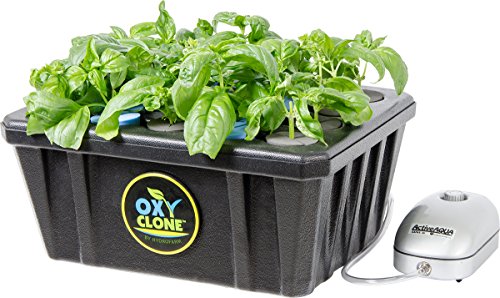 Oxyclone OX20SYS 20 Site, Compact Recirculating Cloning Propagation System, Heavy Yields