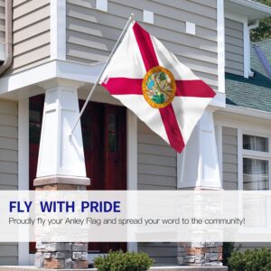 Anley Fly Breeze 3x5 Foot Florida State Polyester Flag - Vivid Color and Fade Proof - Canvas Header and Double Stitched - FL State Flags with Brass Grommets 3 X 5 Ft