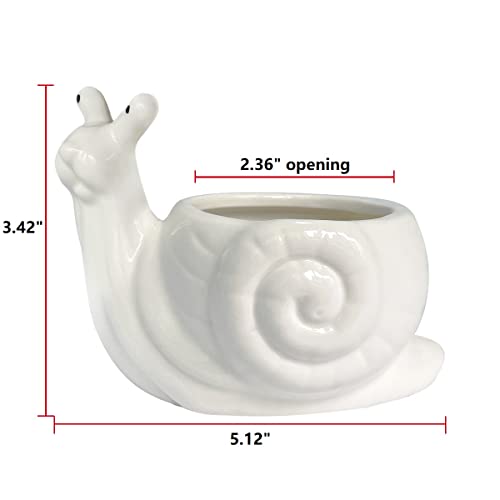 GeLive Ceramic Succulent Planter, White Snail Plant Pot with Drainage Hole, Animal Bonsai Holder Window Box for Cactus, Succulent Plants Home Office Garden Flower Pot Gifts for Plants Lover