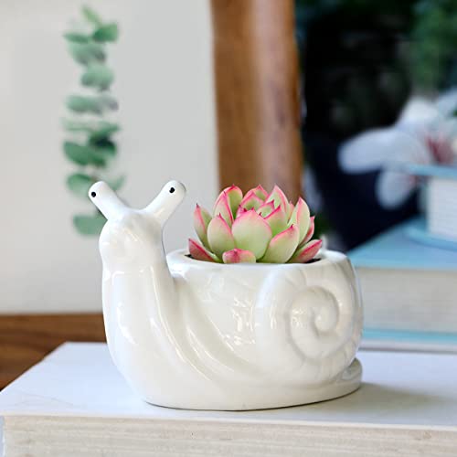 GeLive Ceramic Succulent Planter, White Snail Plant Pot with Drainage Hole, Animal Bonsai Holder Window Box for Cactus, Succulent Plants Home Office Garden Flower Pot Gifts for Plants Lover