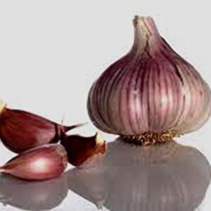 Garlic Bulb (7 Bulbs), Fresh Siberian HARDNECK Garlic Bulb for Planting and Growing Your OWN Garlic OR Eating