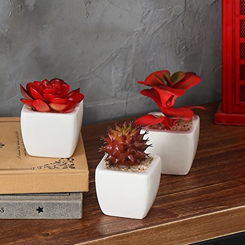 MyGift Assorted Artificial Red Succulent Plants, Mini Fake Desert Plants in White Square Pots, Set of 3