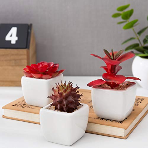 MyGift Assorted Artificial Red Succulent Plants, Mini Fake Desert Plants in White Square Pots, Set of 3