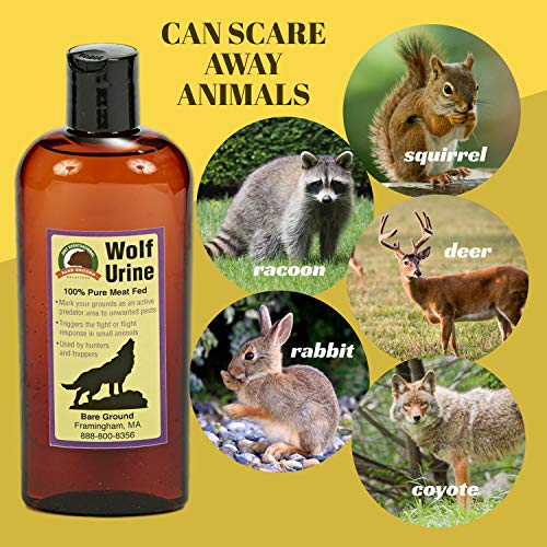 Just Scentsational WU-8 Wolf Urine for Gardens, Hunters, and Trappers, 8 oz