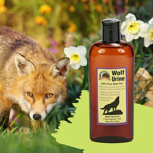 Just Scentsational WU-8 Wolf Urine for Gardens, Hunters, and Trappers, 8 oz