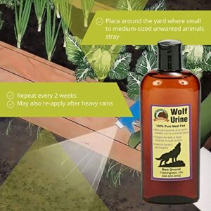 Just Scentsational WU-8 Wolf Urine for Gardens, Hunters, and Trappers, 8 oz