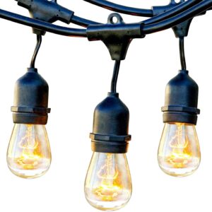 Brightech Ambience Pro Outdoor String Lights - Commercial Grade Waterproof Patio Lights with 24 Ft Dimmable Incandescent Edison Bulbs, Porch String Lights for Patio, Backyard, Christmas - 7 Bulbs 11W