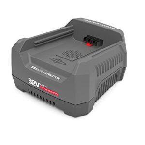 Briggs & Stratton 82V MAX Lithium-ion Battery Rapid Charger for Snapper XD Cordless Electric Tools