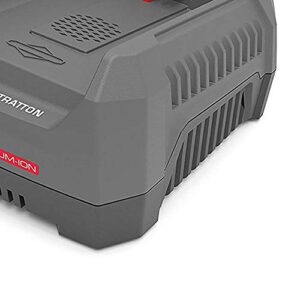 Briggs & Stratton 82V MAX Lithium-ion Battery Rapid Charger for Snapper XD Cordless Electric Tools