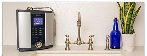 Athena H2 Water Ionizer from AlkaViva. 7-Plate, 13-Stage Dual Filter Self-Cleaning. Limited by AlkaViva