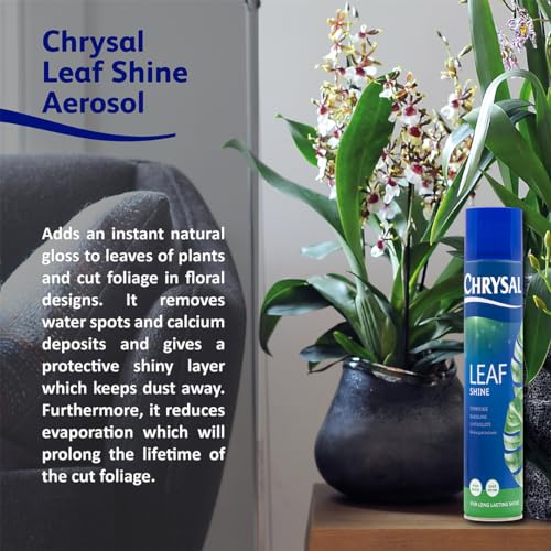 Chrysal Leaf Shine Spray for Indoor Plants (15 Ounce 1 Pack)