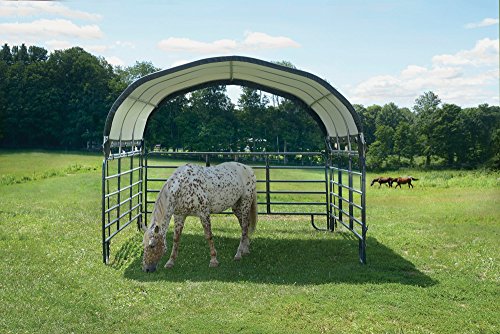 ShelterLogic 51512 Shelter, Green, 12 x 12 (Corral Panels Not Included), 9 oz