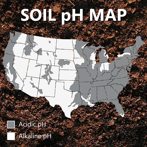 Jonathan Green (11353) Mag-I-Cal Soil Food for Lawns in Acidic Soil - Soil Amendment for Grass (5,000 Sq. Ft.)