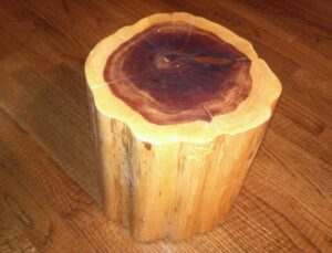 red cedar tree stump table stool photo prop plant stand - 8-10" diameter - 4"-22" tall