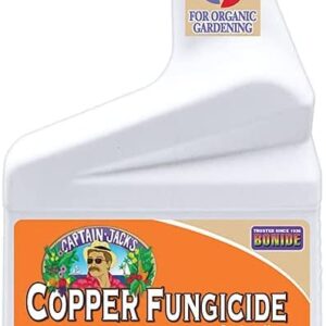 COPPER FUNGICIDE RTU QT