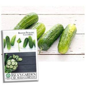 boston pickling cucumber seeds for planting - 100+ heirloom seeds per packet, (isla's garden seeds), non-gmo seeds, botanical name; cucumis sativus, boston seeds great home garden gift