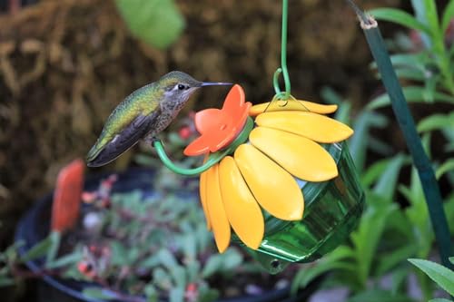 Wild Wings WWSFHF5 So Real Single Flower Hummingbird Feeder, Red/Yellow (2-Pack)