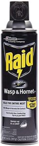 raid wasp hornet killer spray (14 ounce (pack of 1)