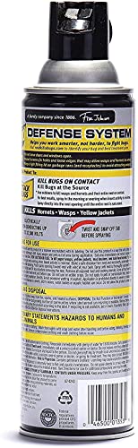 Raid Wasp Hornet Killer Spray (14 Ounce (Pack of 1)