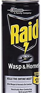 Raid Wasp Hornet Killer Spray (14 Ounce (Pack of 1)