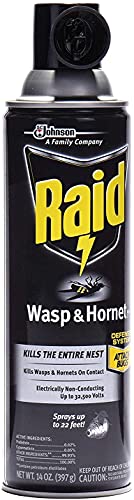 Raid Wasp Hornet Killer Spray (14 Ounce (Pack of 1)