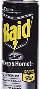 Raid Wasp Hornet Killer Spray (14 Ounce (Pack of 1)