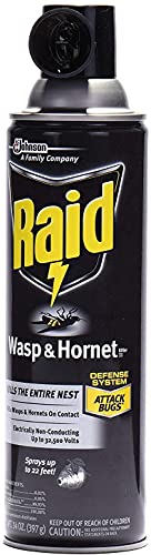 Raid Wasp Hornet Killer Spray (14 Ounce (Pack of 1)