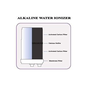 IonHiTech HG Type Replacement Filter Compatible with HG Water Ionizers + Cleaning Cartridge (Not Compatible with HG-N Models)