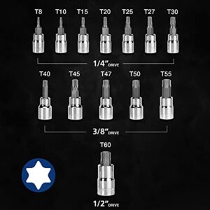 WORKPRO 13-Piece Torx Bit Socket Set T8-T60, 1/4", 3/8" and 1/2" Drive, S2 Steel 6 Point Star Bits and CR-V Sockets with Storage Case For Hand Use Work On Cars, Trucks
