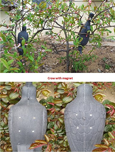 ZILIN Plastic Crow Decoy with Magnet, Ideal for Crow Control