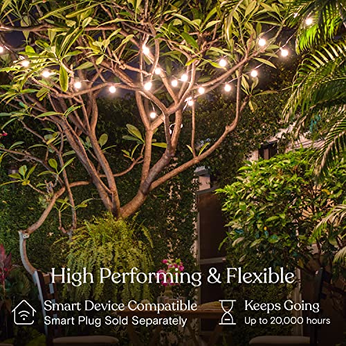 Brightech Ambience Pro LED String Lights - 26 Ft Commercial Grade Patio Lights Outdoor Waterproof - Globe Porch String Lights for Outside, Backyard - 1W Vintage Edison Bulbs, Shine Bright, White