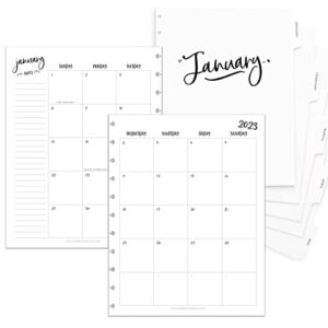betternote 2024 monthly calendar refill with tabbed dividers for discbound notebooks, index tabs, disc, pages fit happy planner, circa levenger, arc, tul, iwp, talia (whimsy, 11-disc, 8.5"x11")